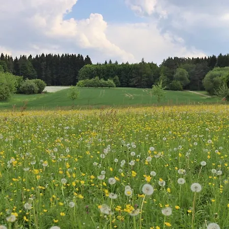 Üdülőközpont Heumanns Blockhaeuser Am Wald Pottenstein